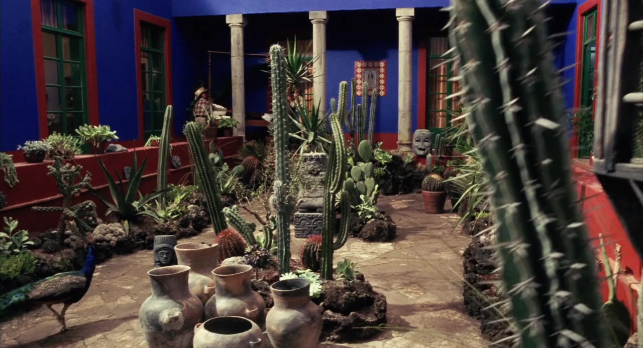 Frida screenshot 1