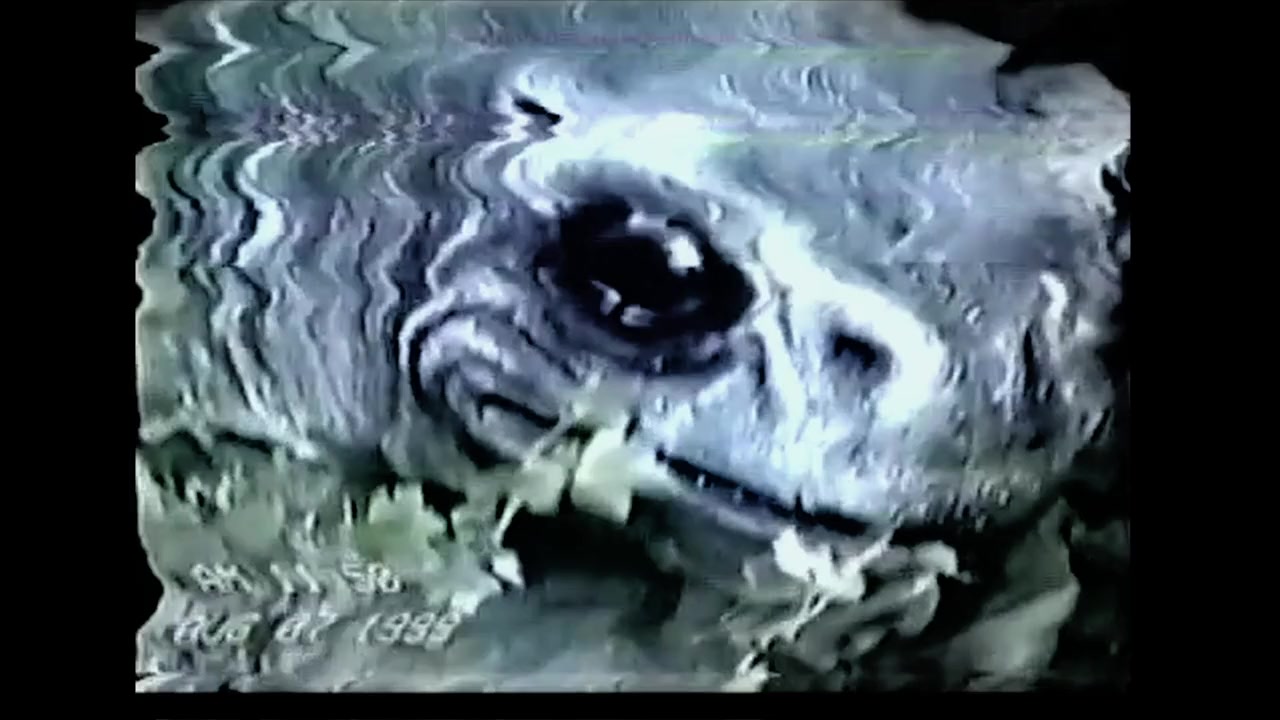 Frogman screenshot 1