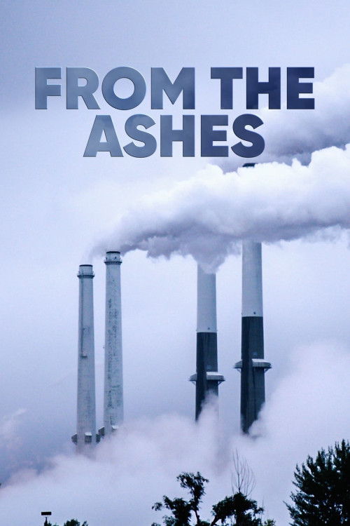 From the Ashes (2017) poster