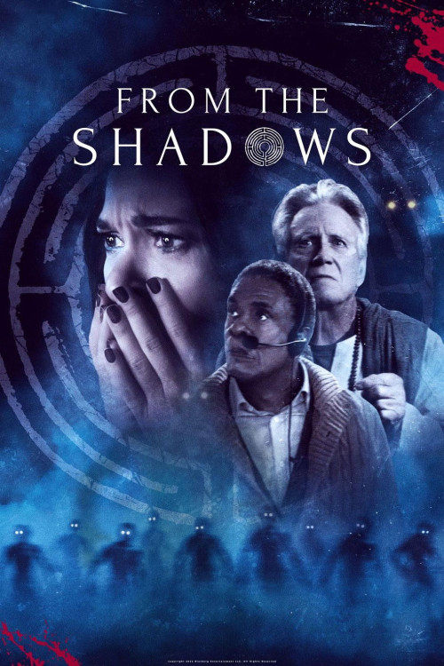 From the Shadows (2022) poster