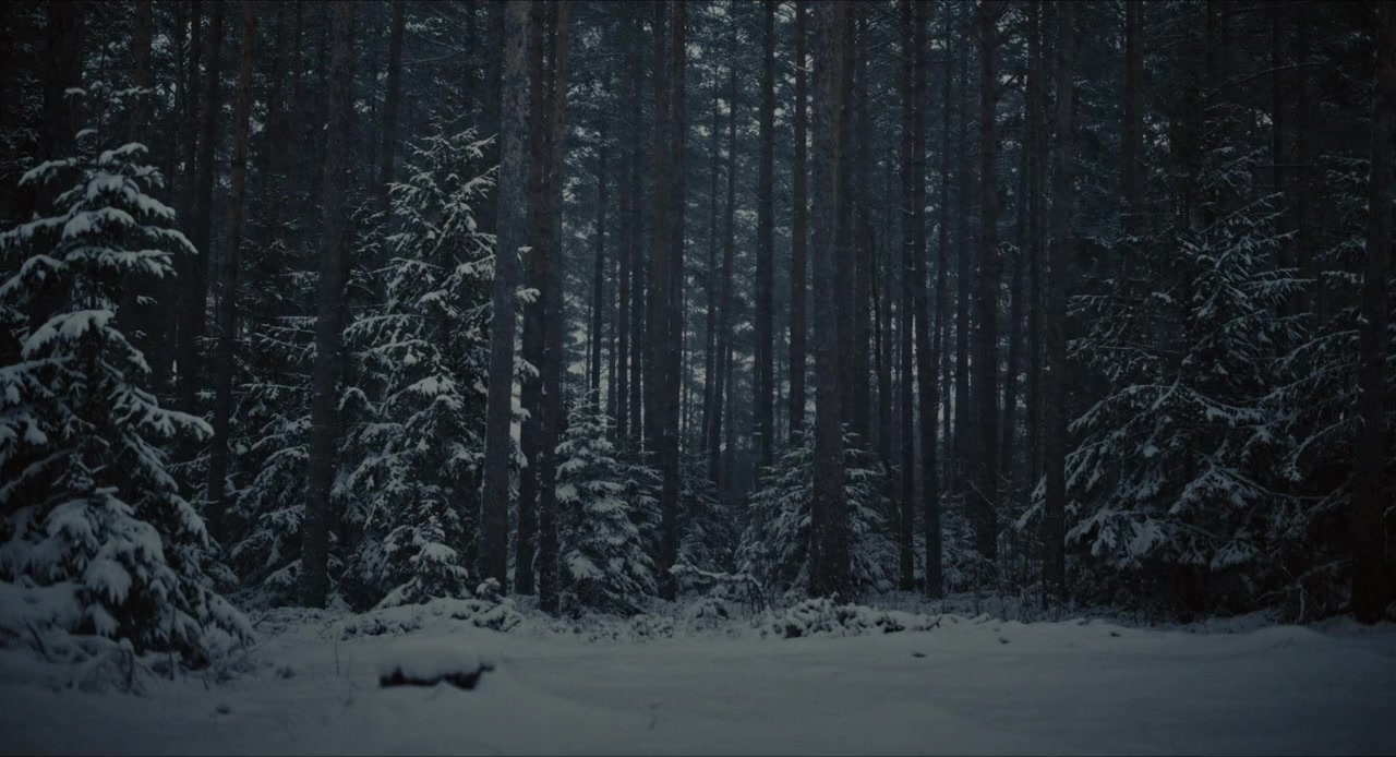 Ur mörkret screenshot 1