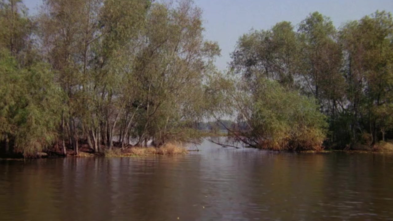 From Roger Moore with Love screenshot 2