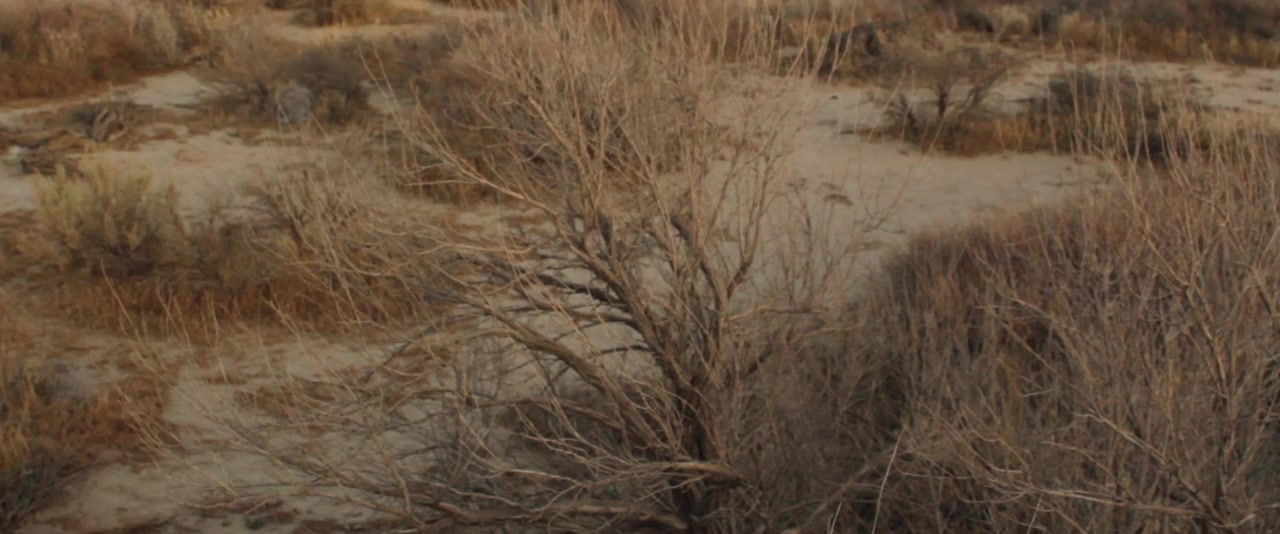 Future Fear screenshot 1