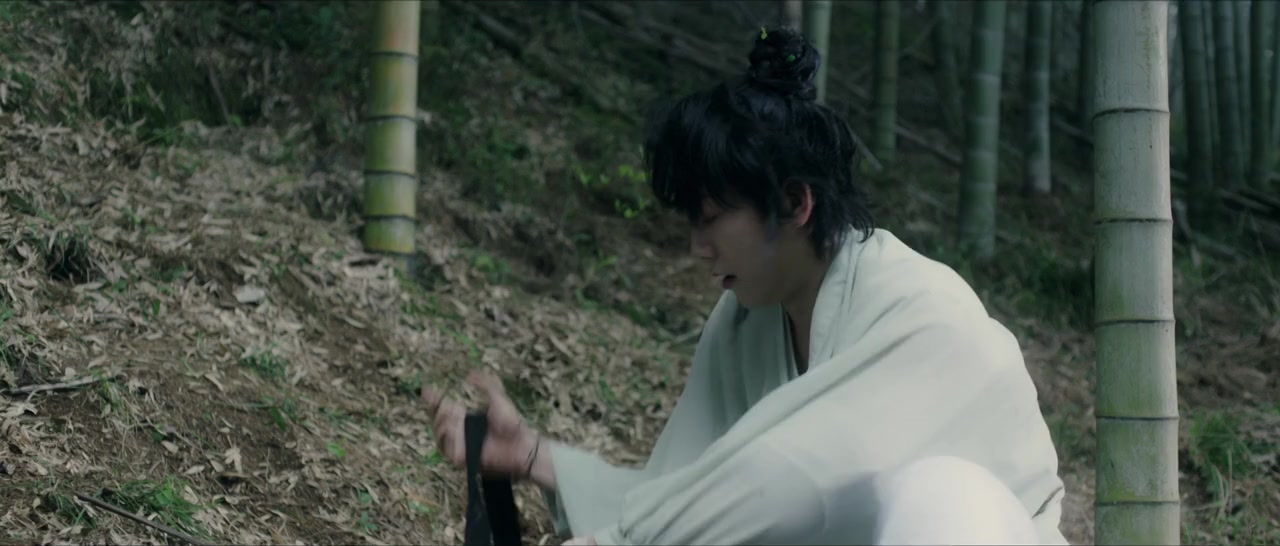 Fu sang you hu screenshot 1