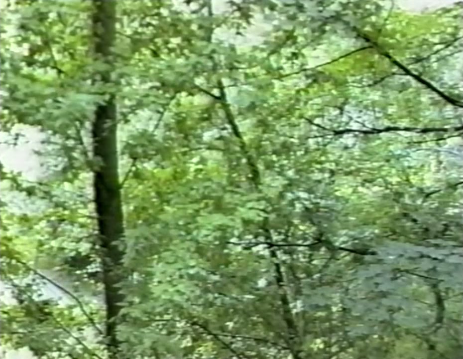 Fuck the Devil screenshot 3