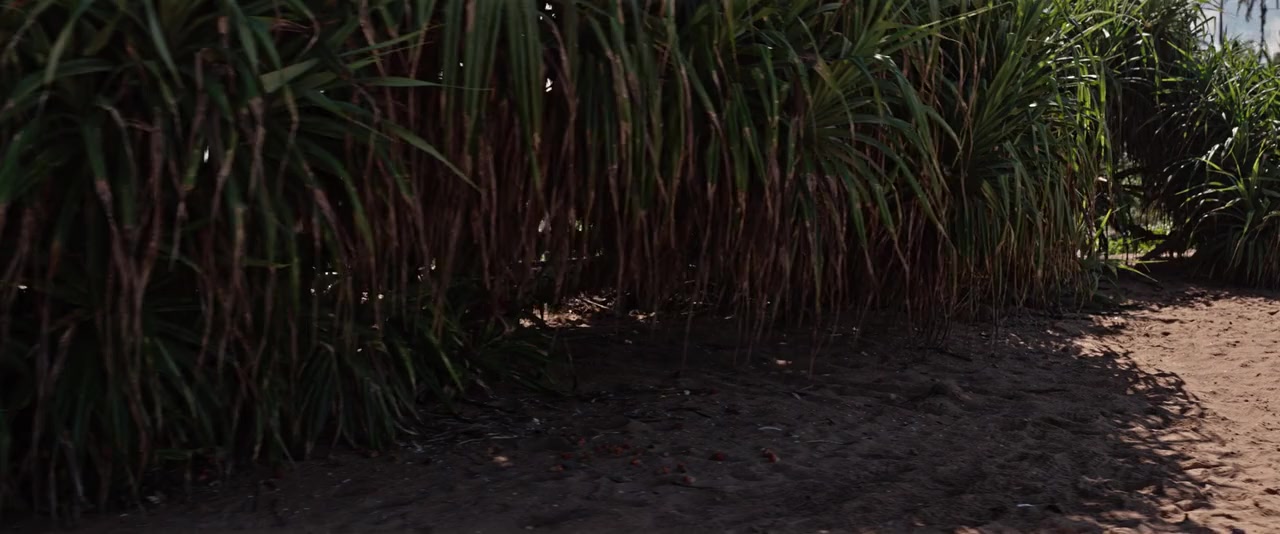 Funny Boy screenshot 3