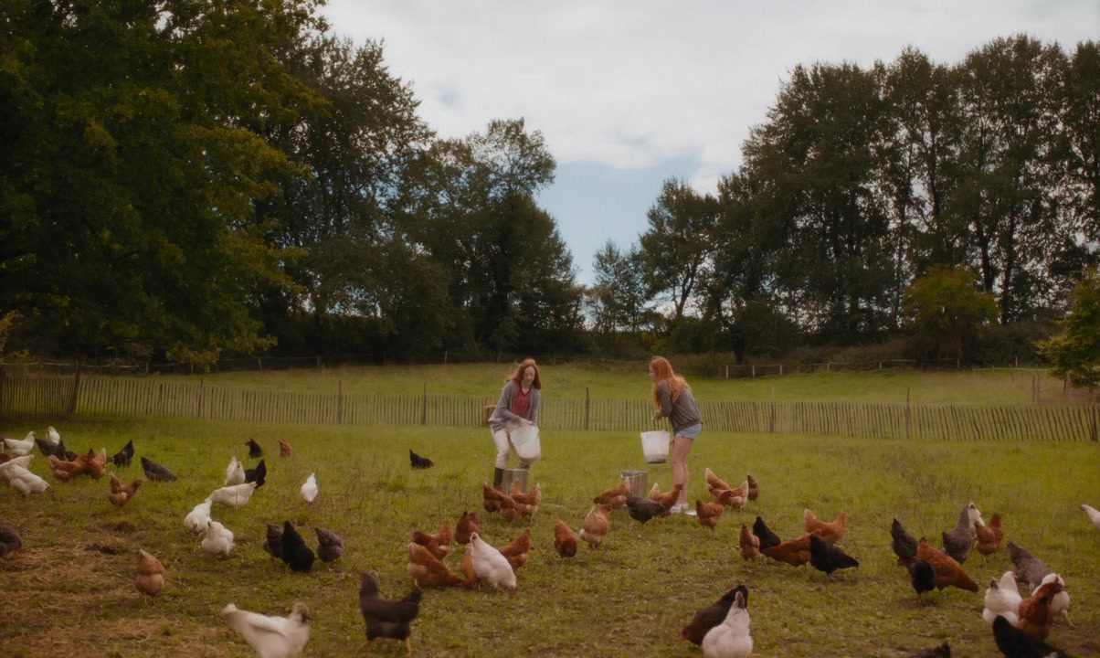 Au fil des saisons screenshot 2