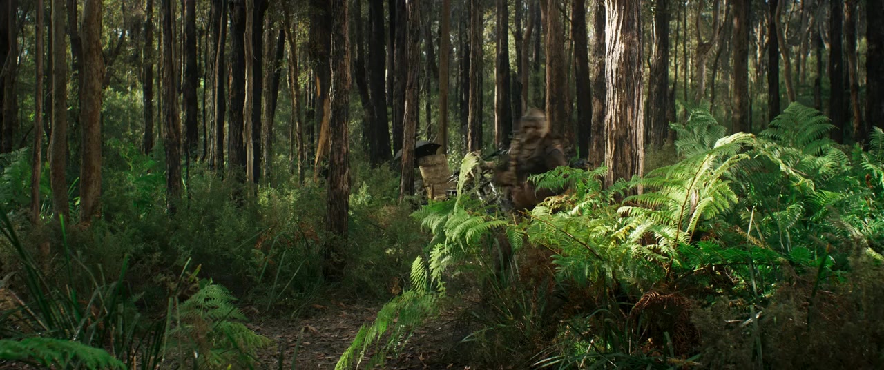 Furiosa: A Mad Max Saga screenshot 1