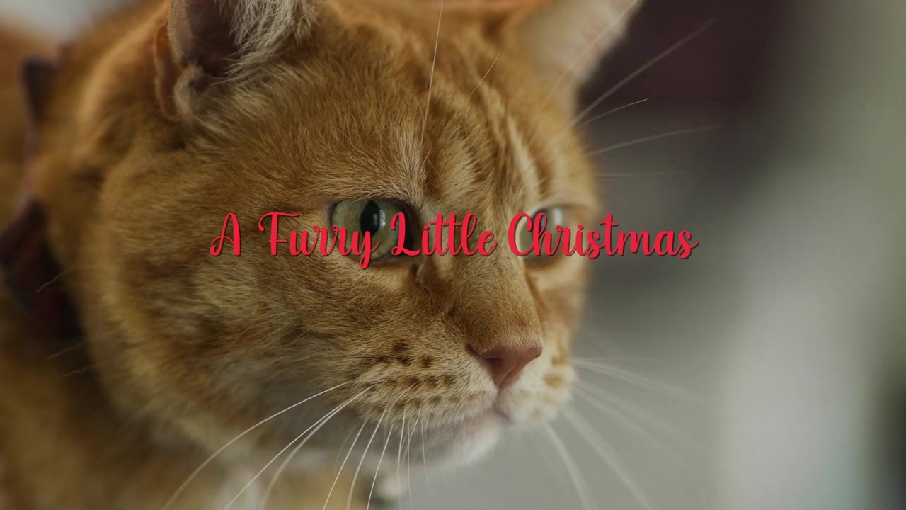 A Furry Little Christmas screenshot 3
