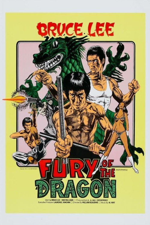 Fury of the Dragon (1976) poster