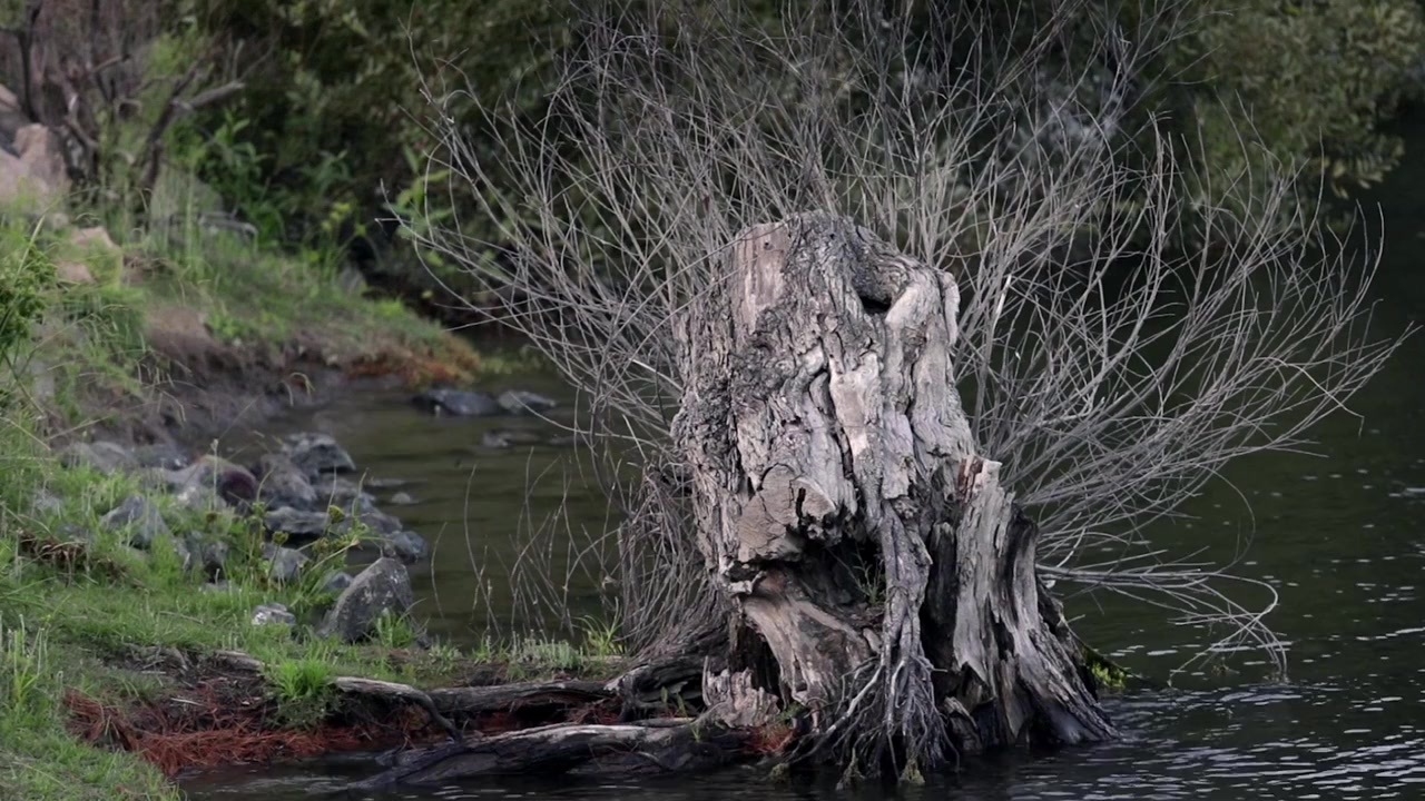 Knots: A Forced Marriage Story screenshot 1