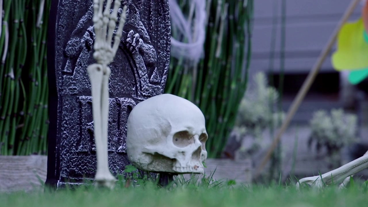 Knots: A Forced Marriage Story screenshot 3