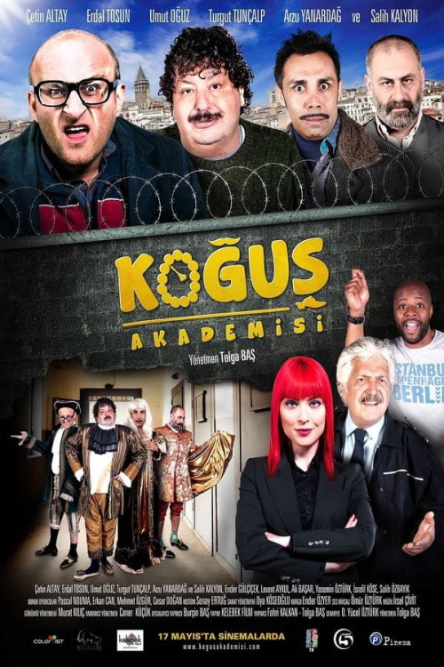 Kogus Akademisi (2013) poster