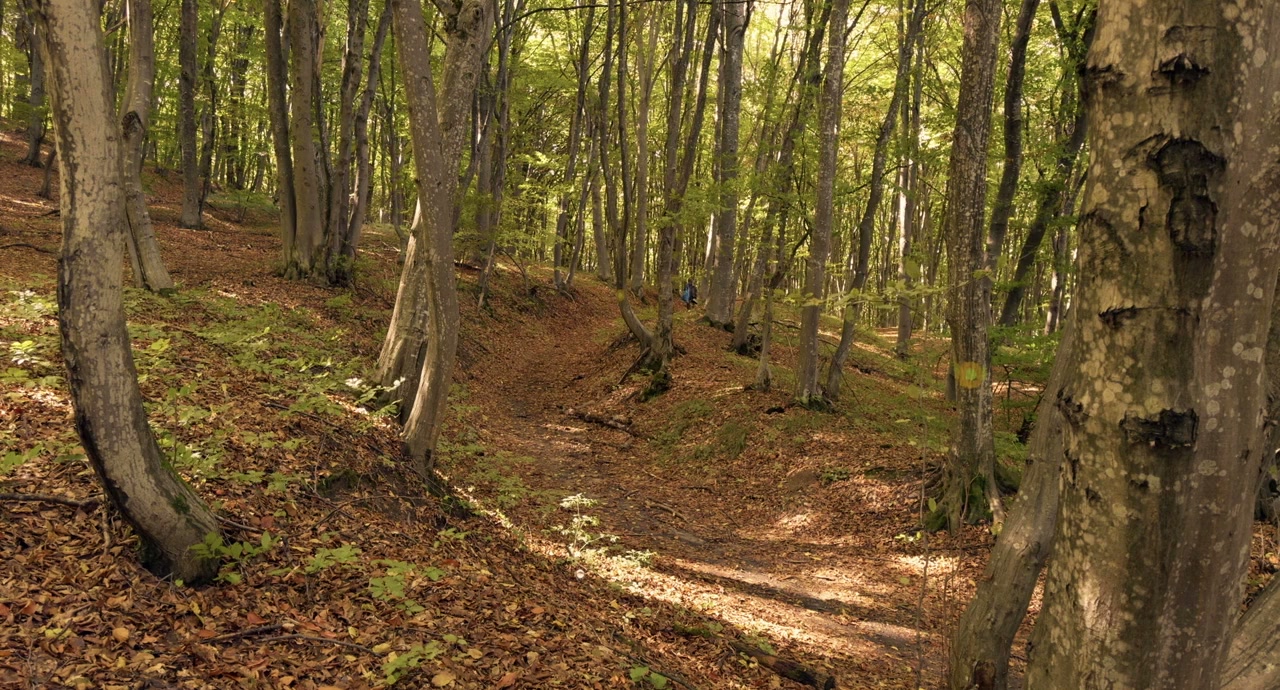 Kontinental '25 screenshot 2