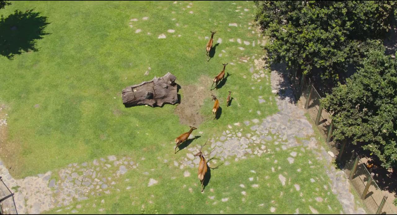 Konusan Hayvanlar screenshot 3