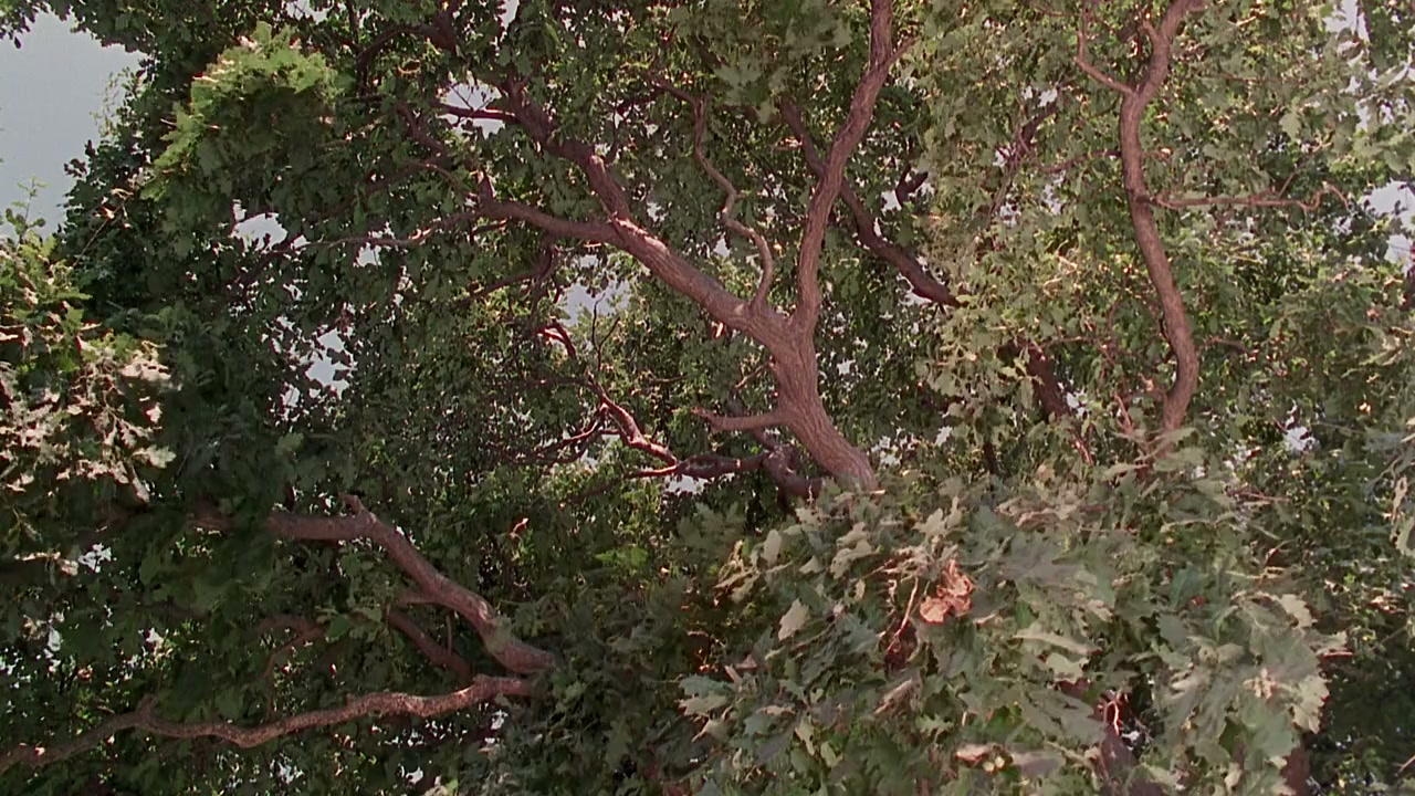 Korkuyorum Anne screenshot 1