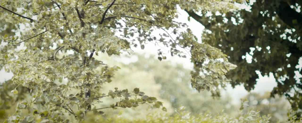 Kaufman's Game screenshot 3