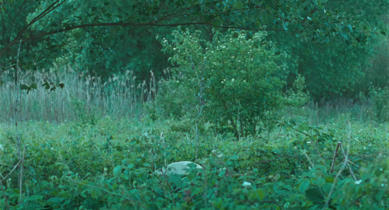 Kauwboy screenshot 1