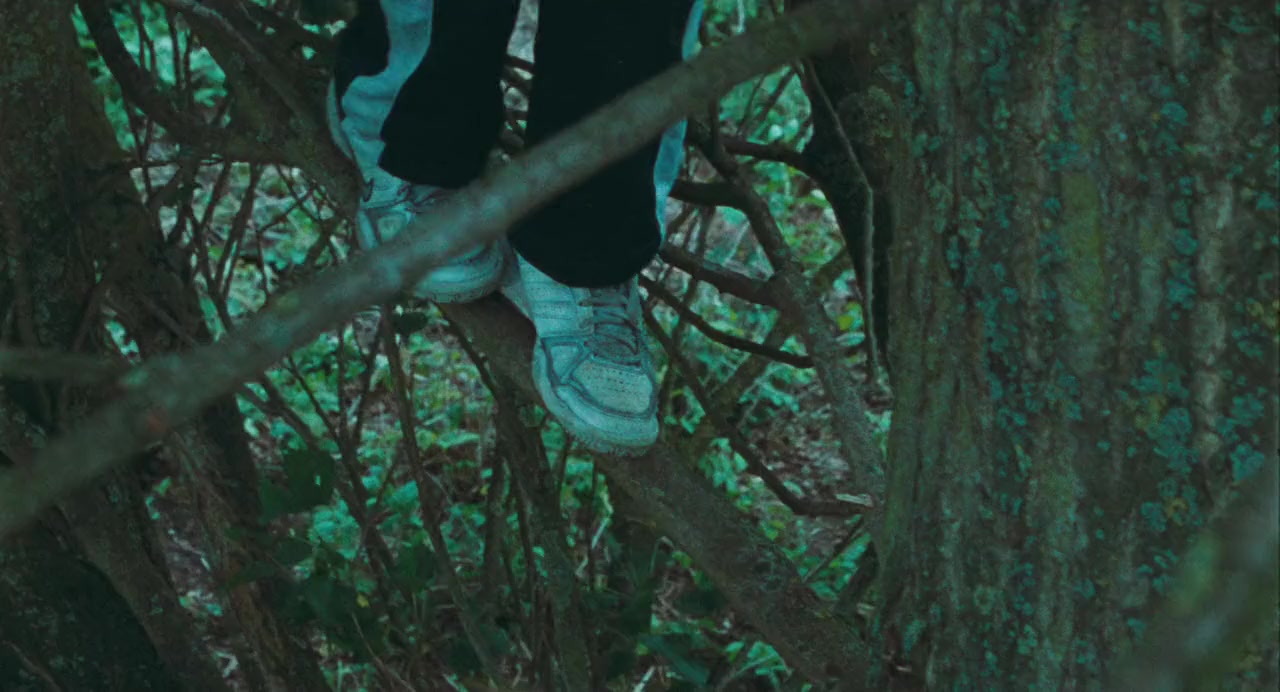 Kauwboy screenshot 2