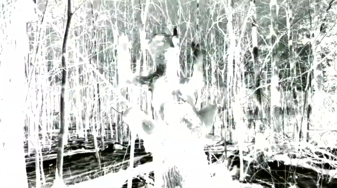 Kaatskill Kannibals screenshot 2