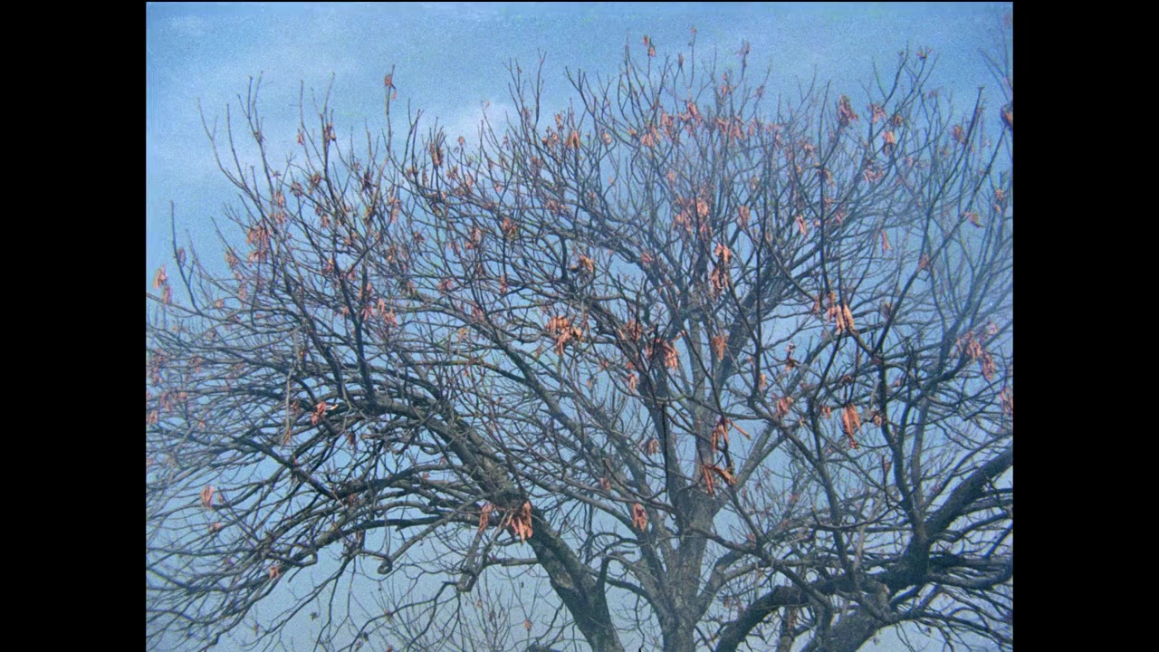 Kabhie Kabhie screenshot 1