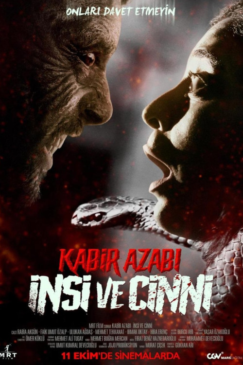 Kabir Azabi: Insi ve Cinni (2024) poster