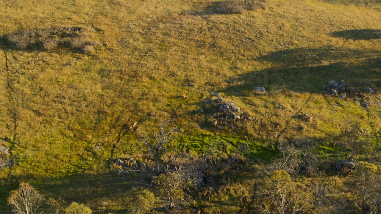 Kangaroo Valley screenshot 1