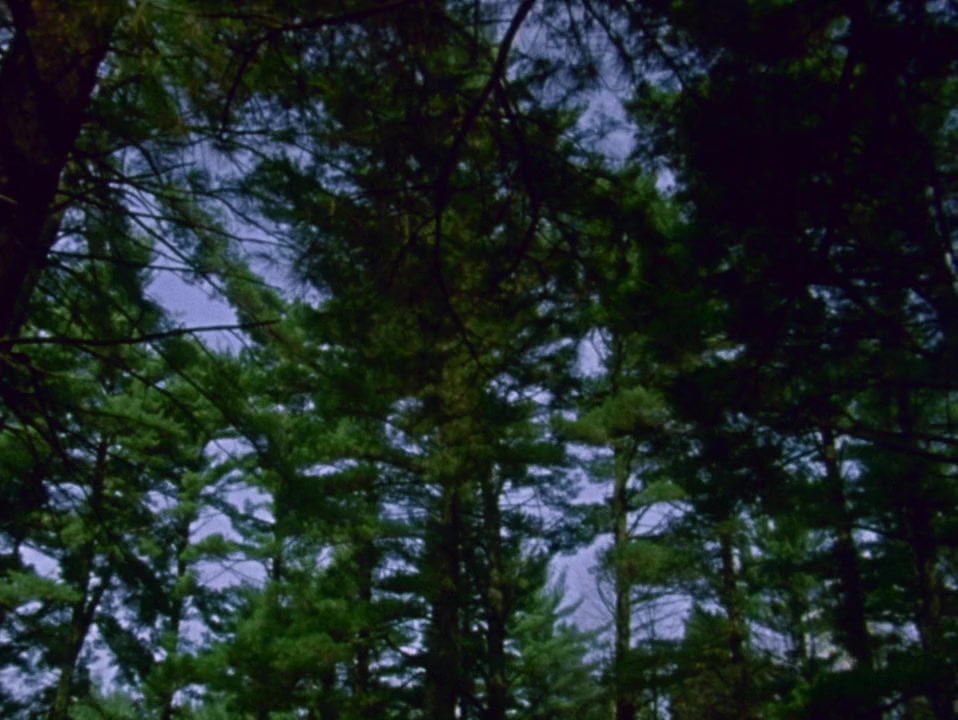 Kanehsatake: 270 Years of Resistance screenshot 2