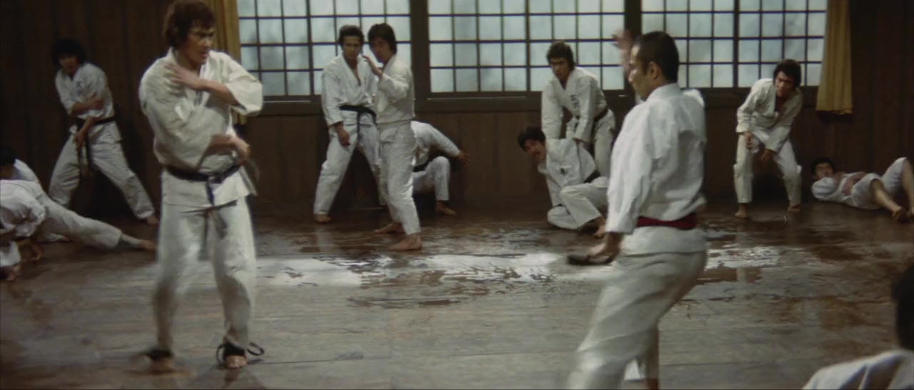 Karate baka ichidai screenshot 2