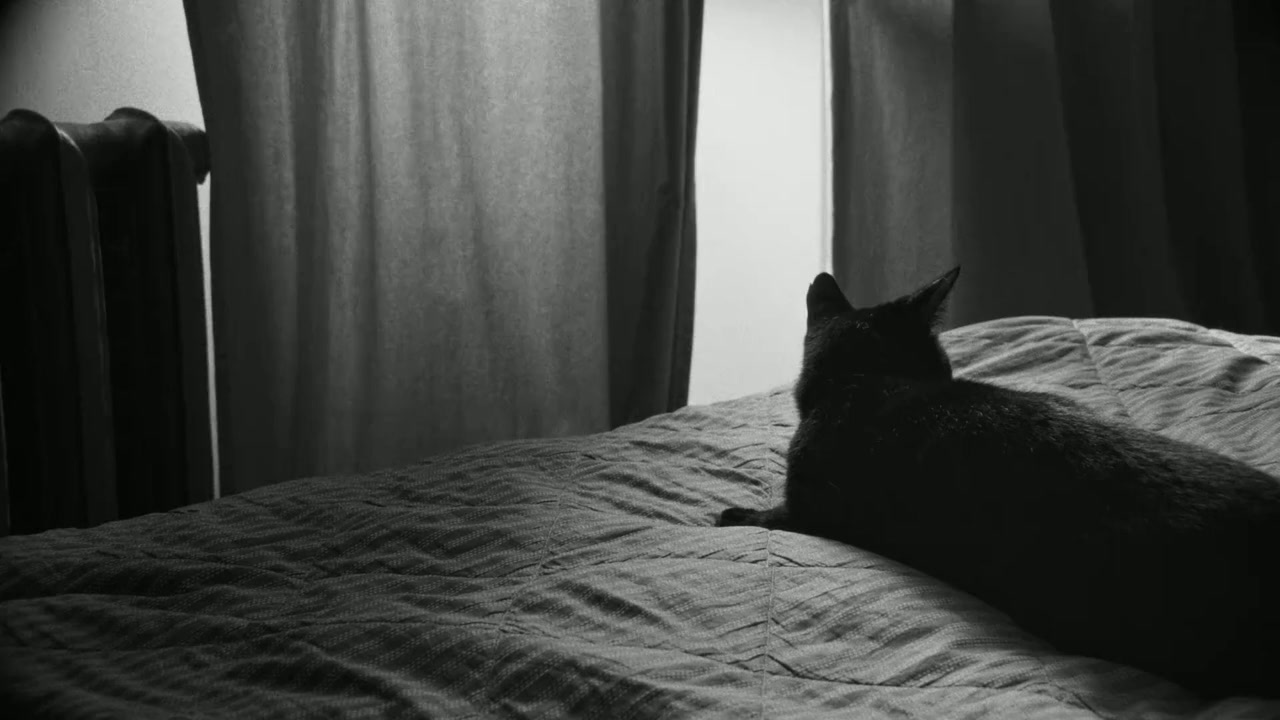 Kartiny druzheskikh svyazey screenshot 3