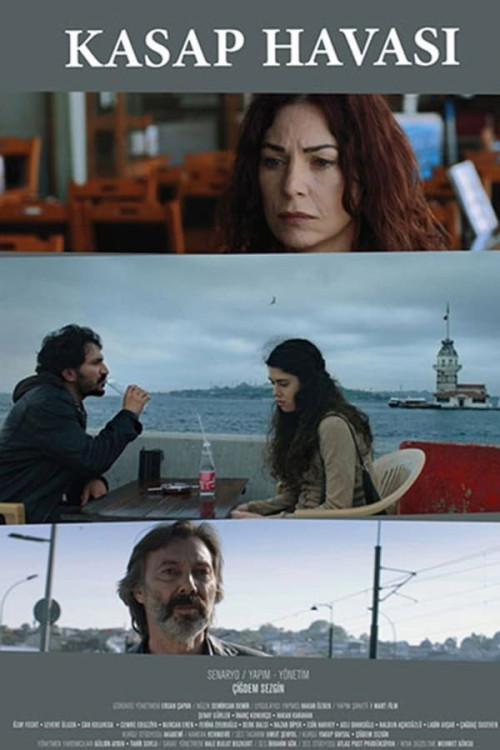 Kasap Havasi (2015) poster