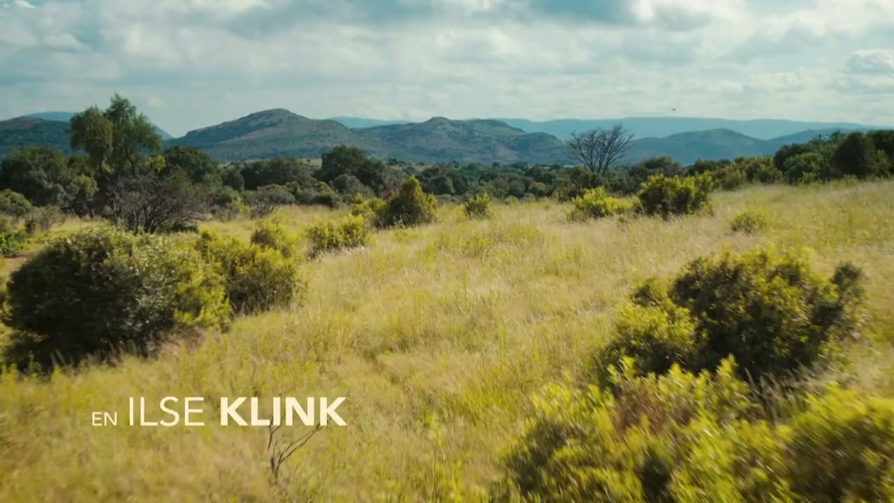 Khaki Fever screenshot 3