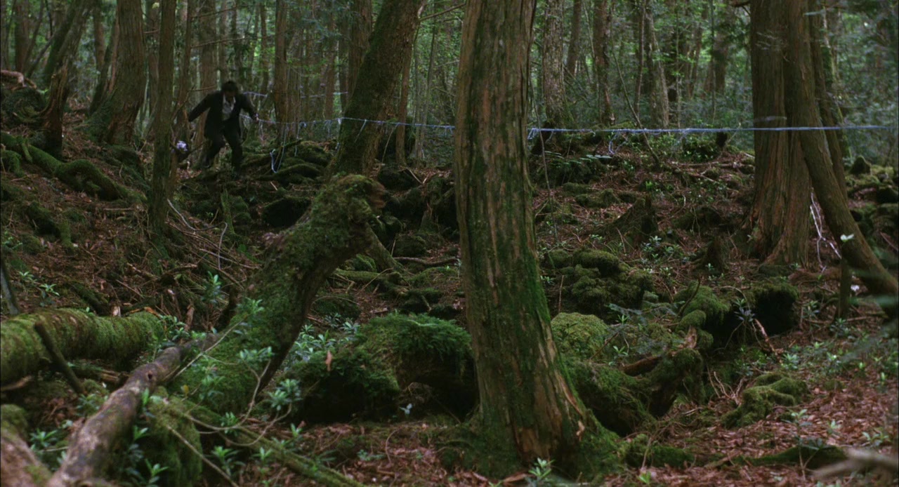 Ki no umi screenshot 1
