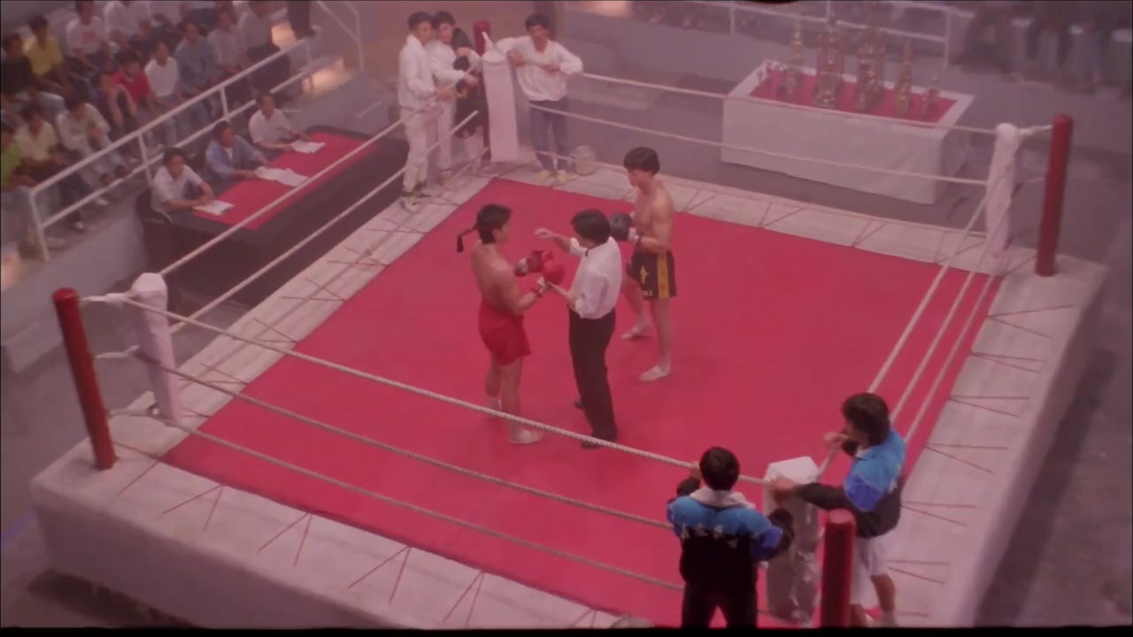 Xin long zhong hu dou screenshot 1