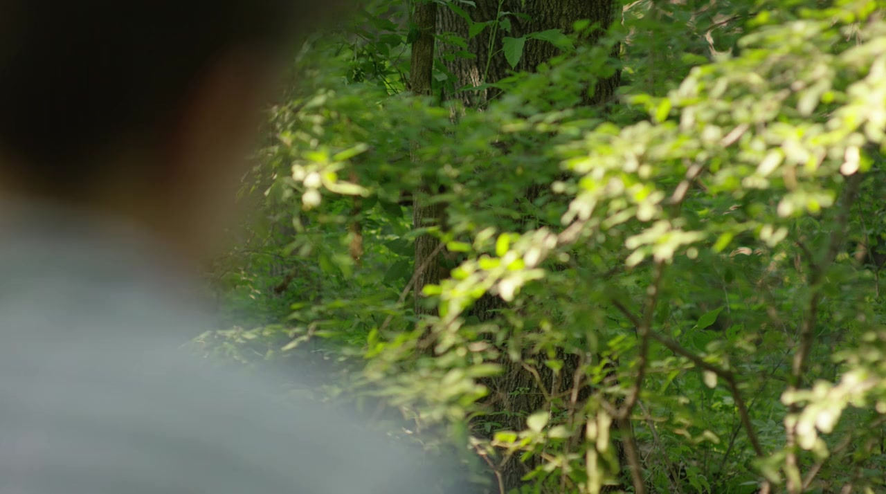 Kid West screenshot 3