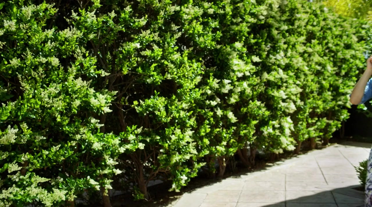 Hello Neighbor screenshot 1