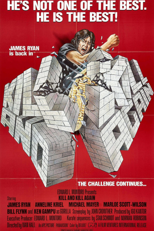 Kill and Kill Again (1981) poster