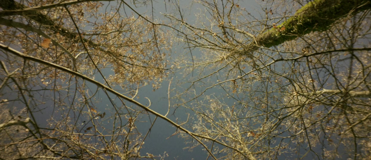 Tafanos screenshot 1