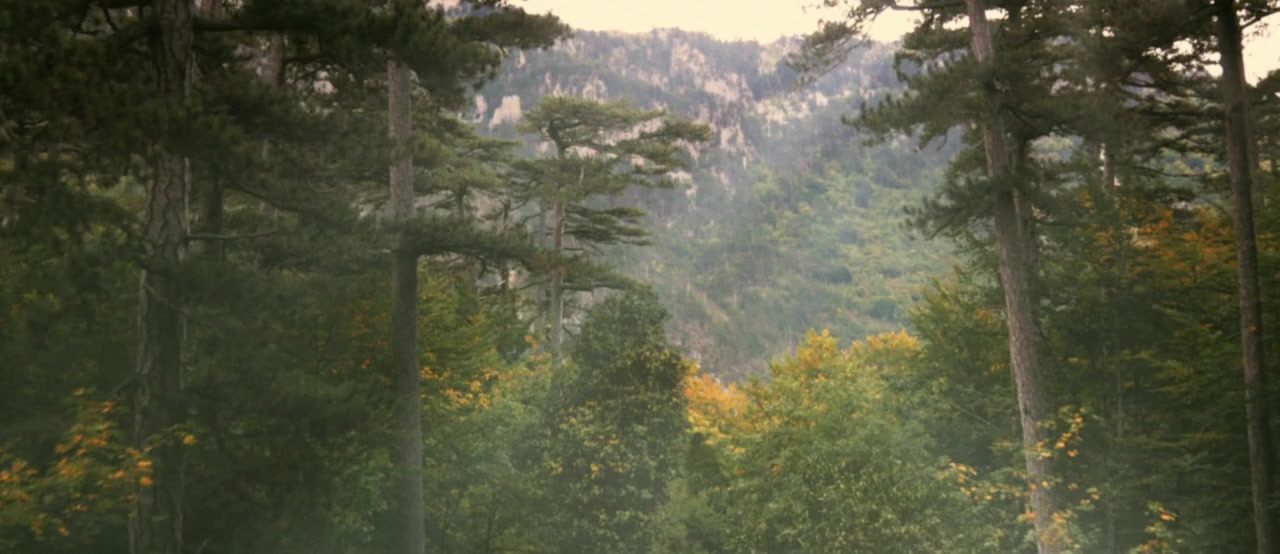 Tafanos screenshot 2