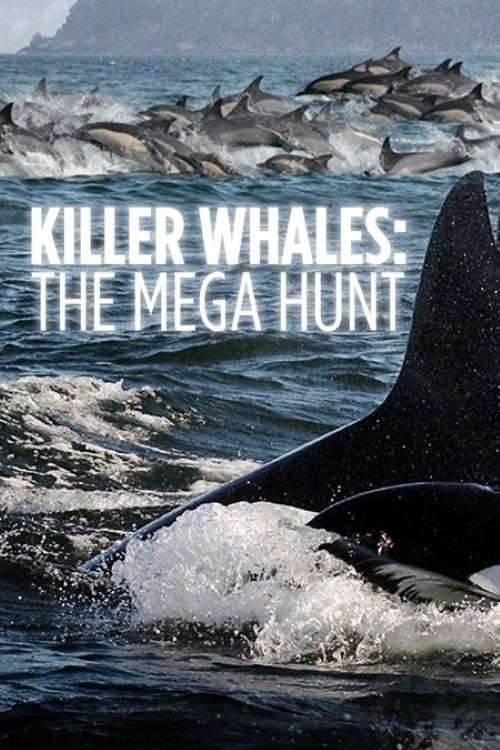 Killer Whales: The Mega Hunt (2016) poster