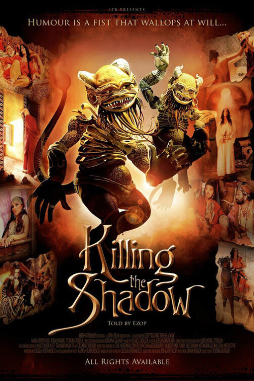 Hacivat Karagöz Neden Öldürüldü? (2006) poster