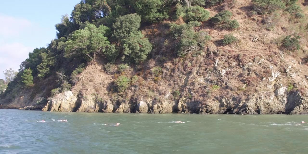 Kim Swims screenshot 1