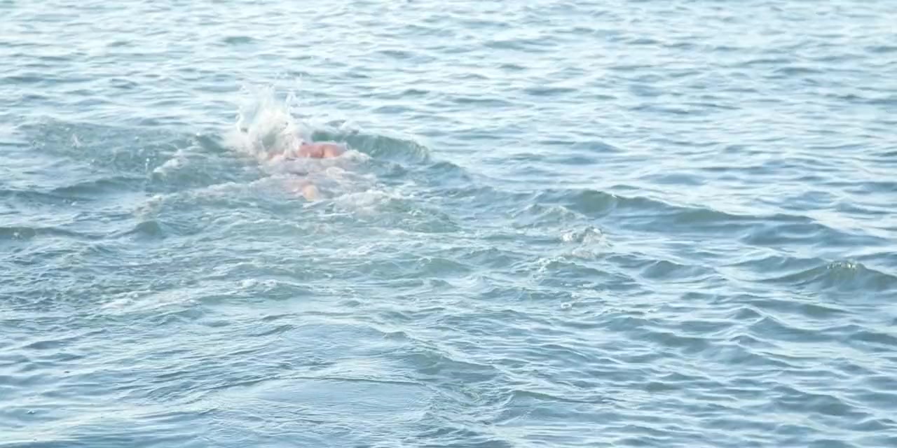 Kim Swims screenshot 3
