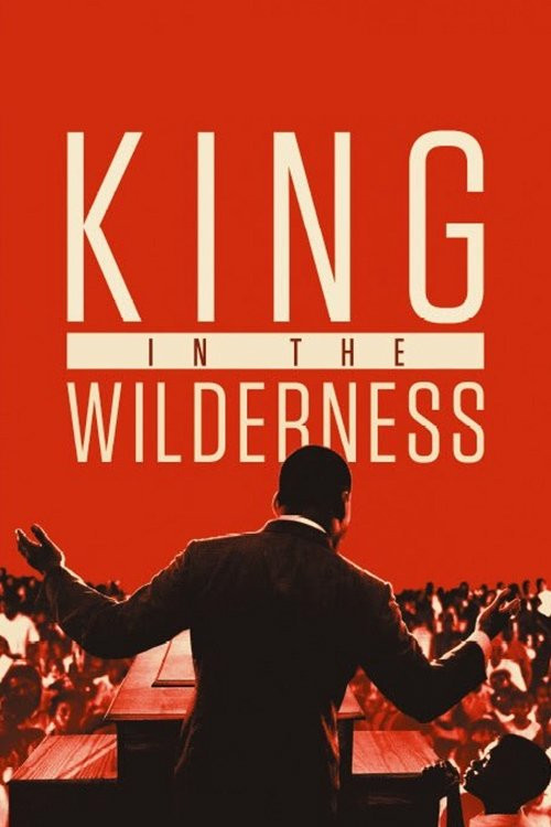 King in the Wilderness (2018) poster