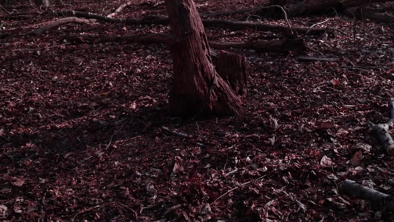 King of Terrors screenshot 1