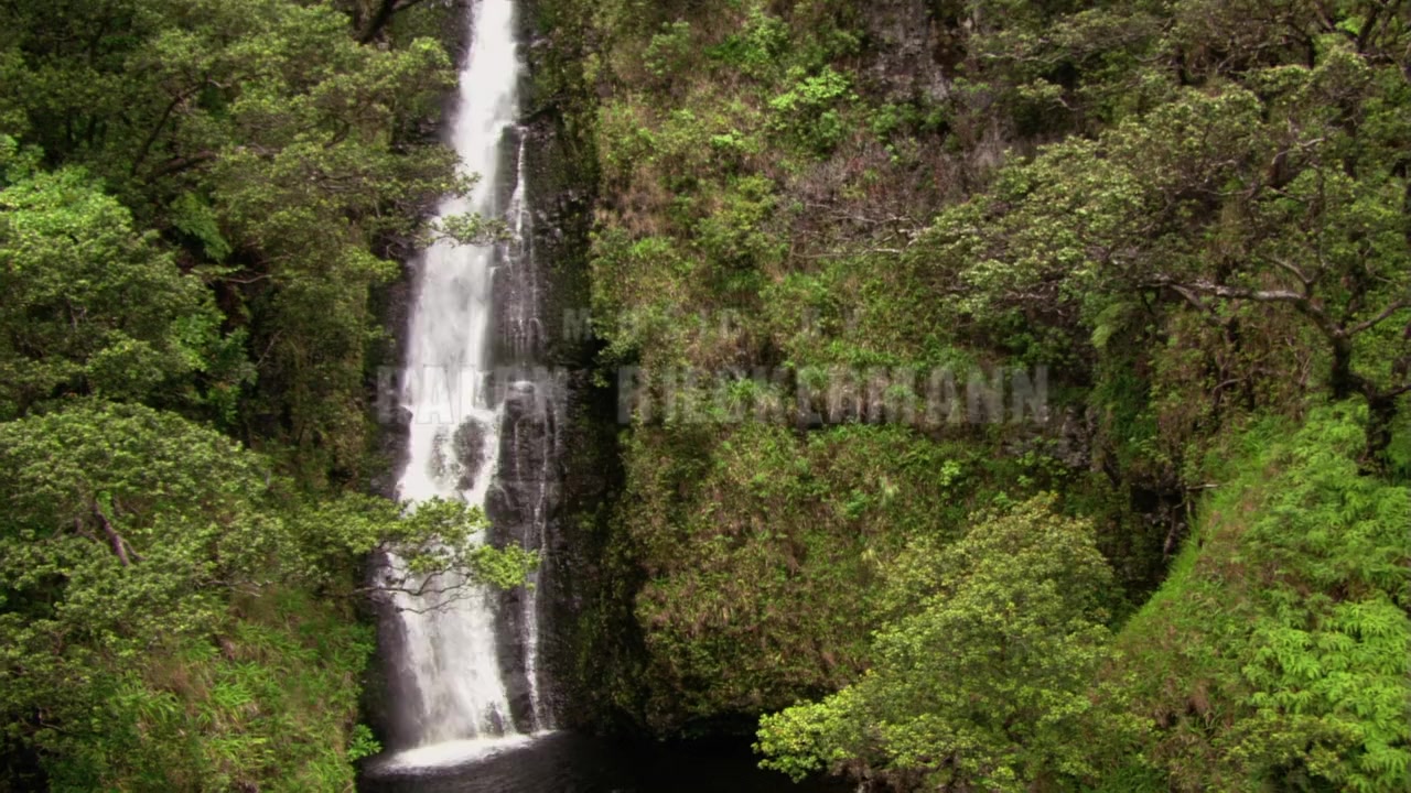 King of the Lost World screenshot 1