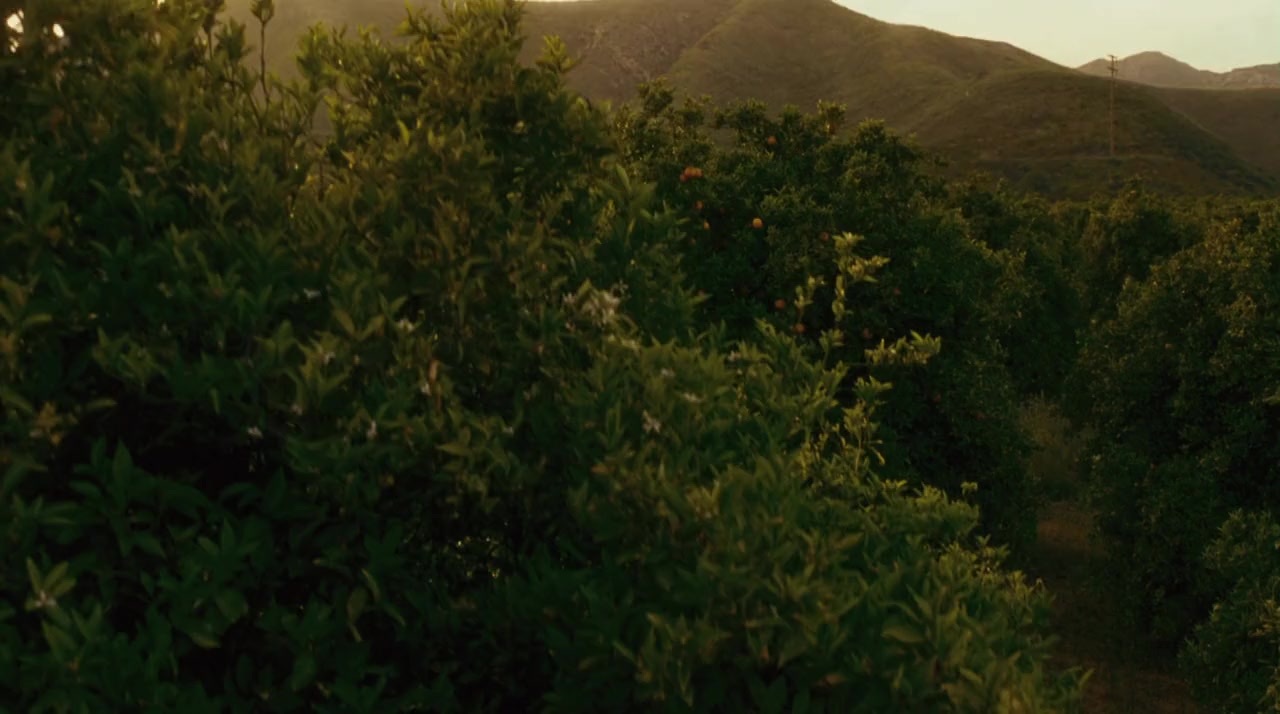 King of California screenshot 3