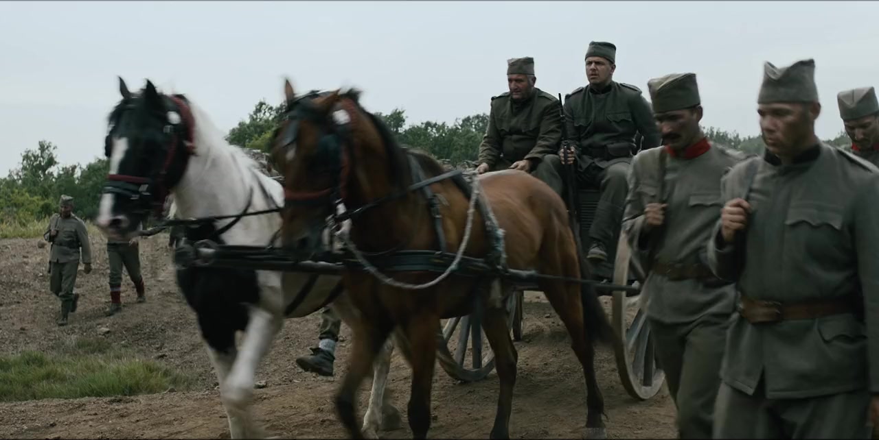 Kralj Petar I screenshot 2