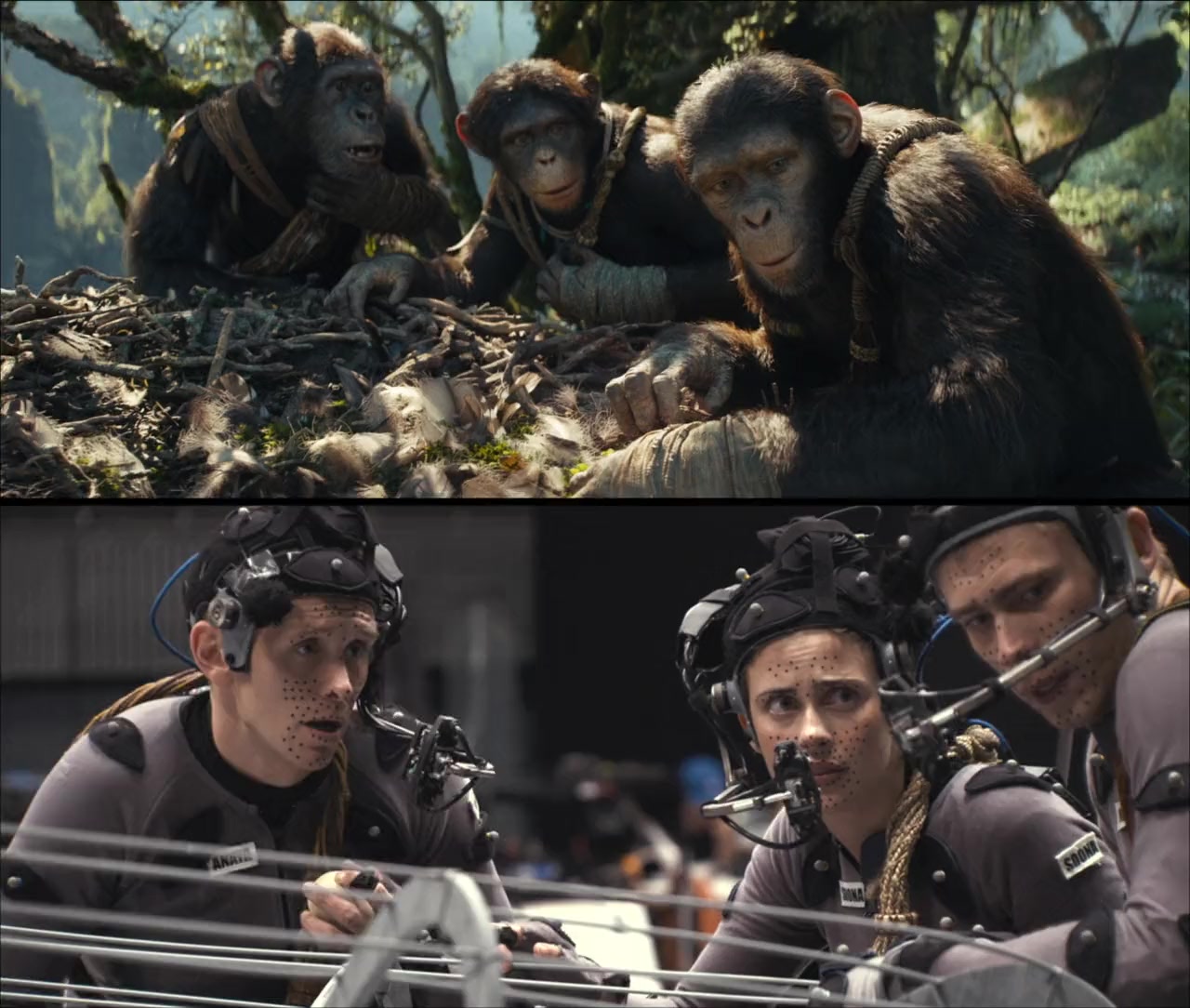 Kingdom of the Planet of the Apes screenshot 1