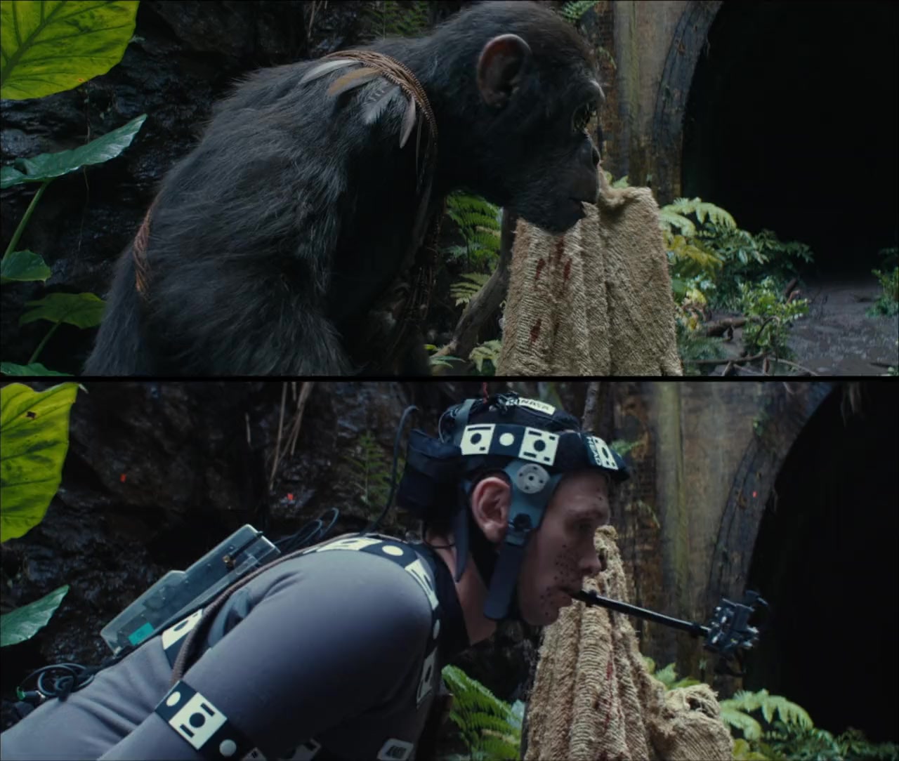 Kingdom of the Planet of the Apes screenshot 3